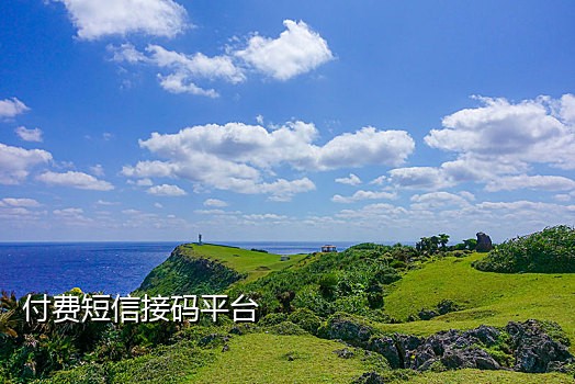 苹果在线接码app