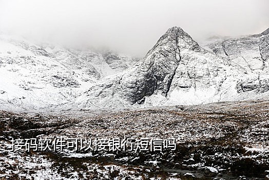 能长期接码的手机平台