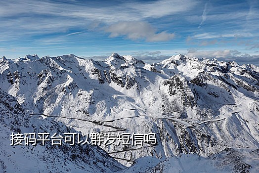 陌陌自助接码注册平台