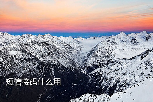 秒接短信验证码的平台叫什么