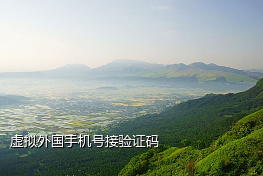 缅甸手机接码机器