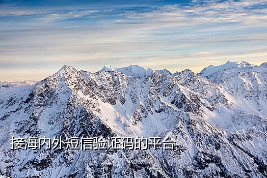 免费接验证码短信平台