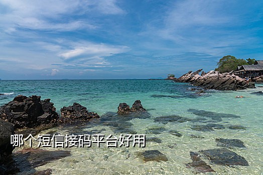 免费接短信码的软件