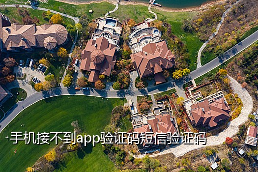 没有手机接验证码