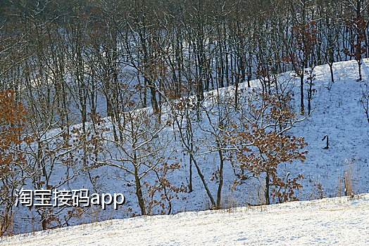 快手接码注册平台