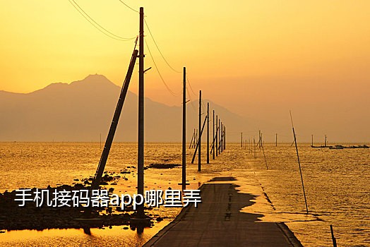 快手接码换IP