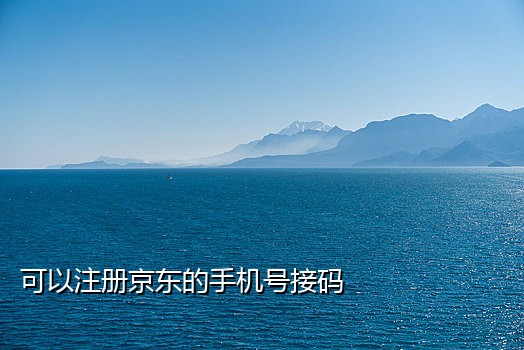 可以注册抖音号的接码