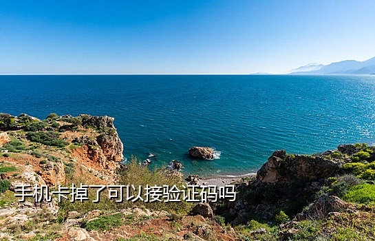 可以发短信的接码app