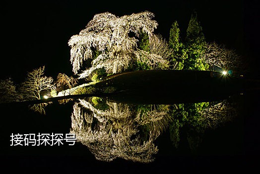 可可抖音接码平台