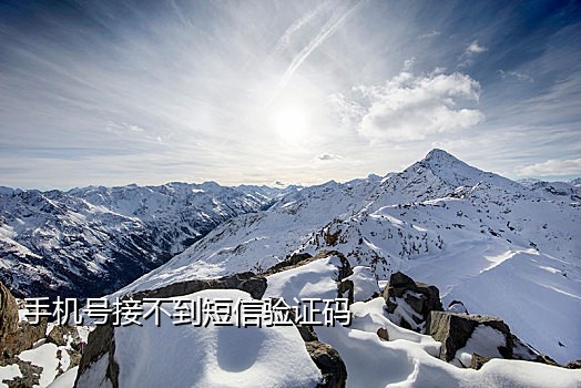 靠谱的接码短信平台