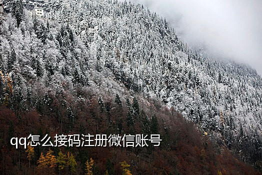 京东移动连信探探抖音接码