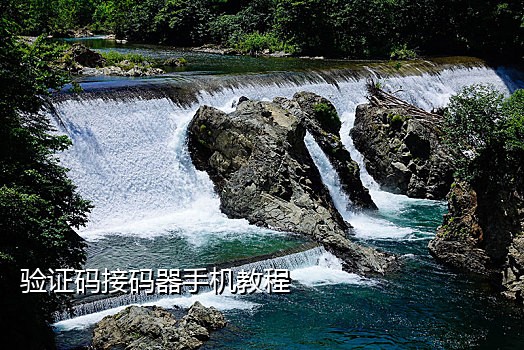 京东接收验证码要判多久