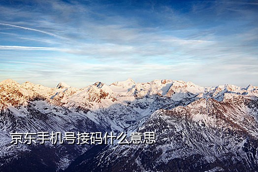 京东接码张洋案