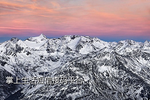 京东短信接码app