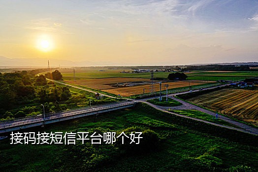 接码网站收不到短信