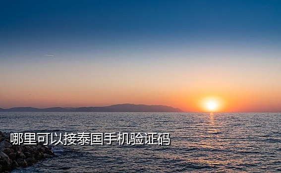 接码手机验证码接收