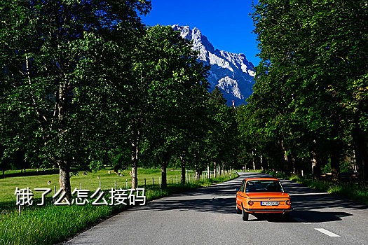 接码平台需要手机号码
