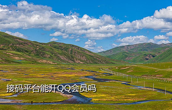 接码平台微博登录