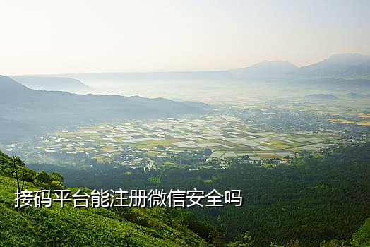 唯品会接码app