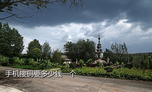 接码平台能注册qq吗
