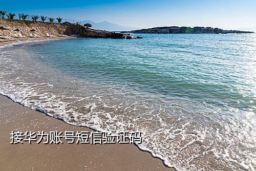 接码平台国外手机号