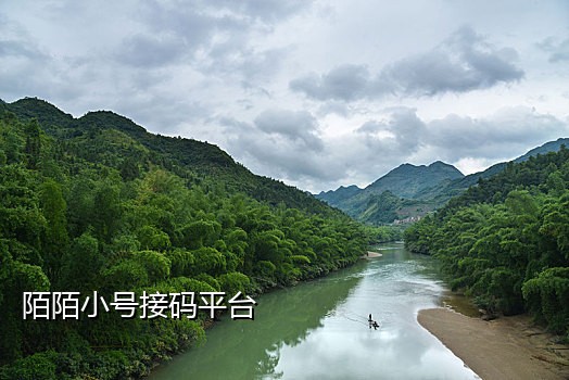 接码平台+淘宝联盟+拉新