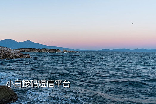 接码短信平台抖音是真的吗