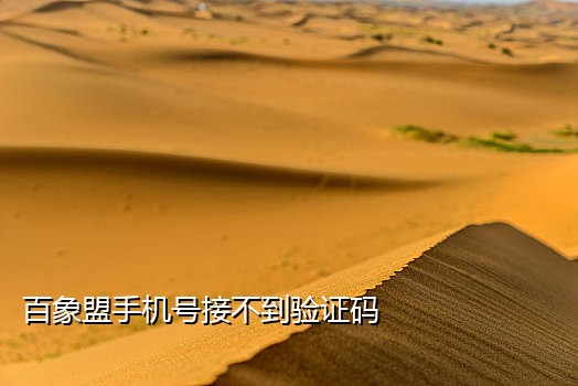 接不了电话和短信验证码