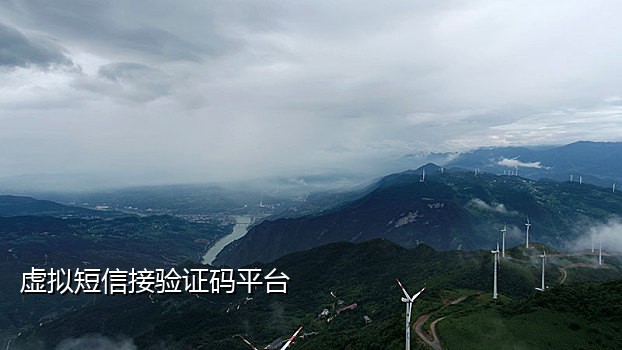 极速接码手机版