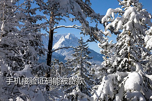 火云接码手机版下载