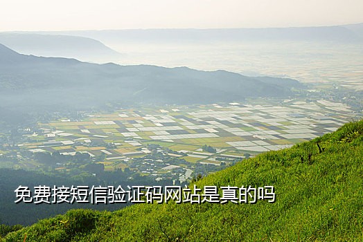 换绑手机接不到验证码