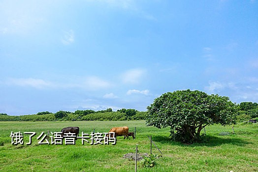 红米手机接验证码