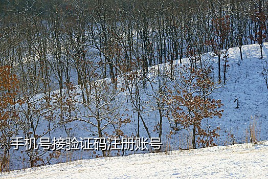 国内接码的手机