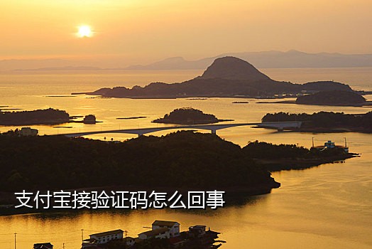 国内接短信验证码平台
