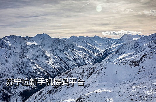 高手接码平台手机端