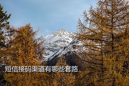 方便接验证码的手机卡