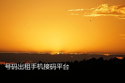 二次接码短信验证码平台