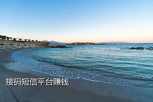 多米短信接码官网