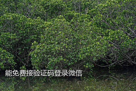 短信验证码接码任务怎么接