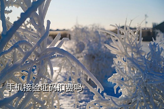 短信接码注册软件