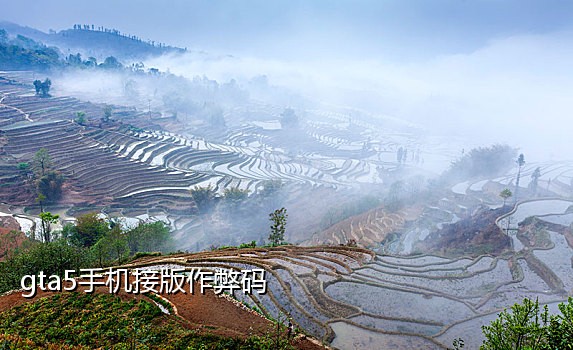 短信接码验证码平台2022