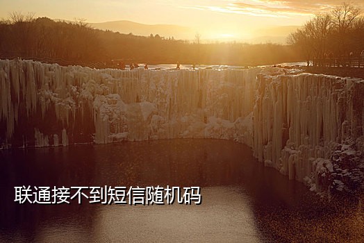 短信接码网站sms