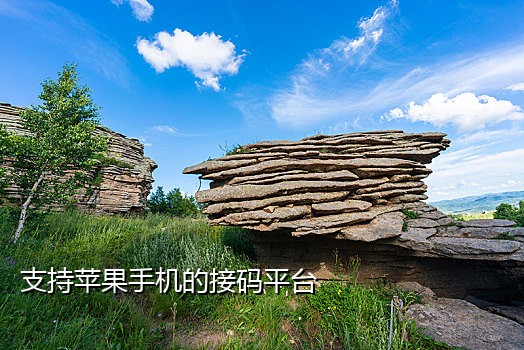 短信接码渠道有哪些类型