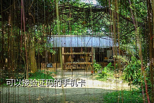 短信接码器破解