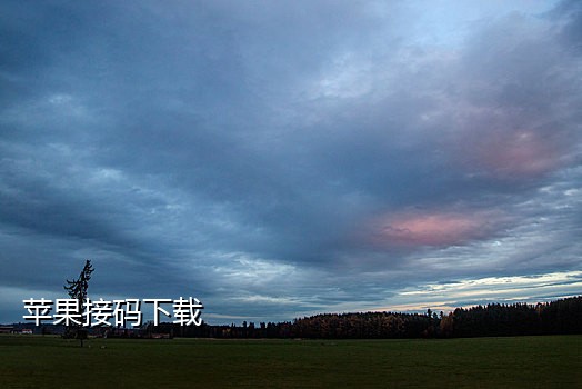 短信接码平台官网