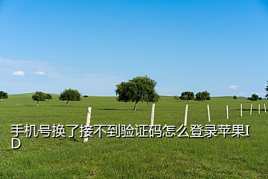 短信接码骗局有哪些