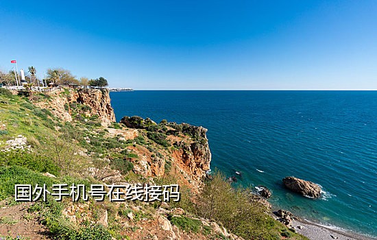 短信接码客户端