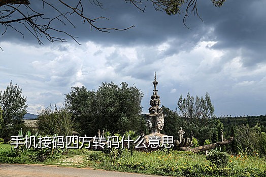 短信接码归属地