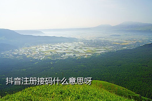 抖音免费接码