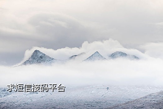 抖音接码注册平台有哪些要求